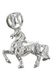 Koń chiński znak zodiaku
